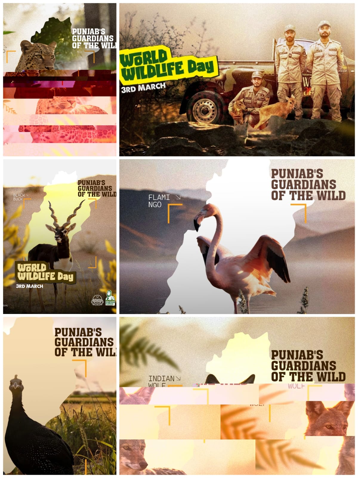 جنگلی حیات کی حفاظت ہماری مشترکہ ذمہ داری؛وزیراعلیٰ پنجاب کا ورلڈ وائلڈ لائف ڈے پر خصوصی پیغام