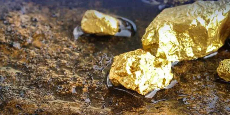 پاکستان کے اہم علاقے سے سونانکل آیا ، مقامی آبادی کی بڑی تعداد جمع ہو گئی